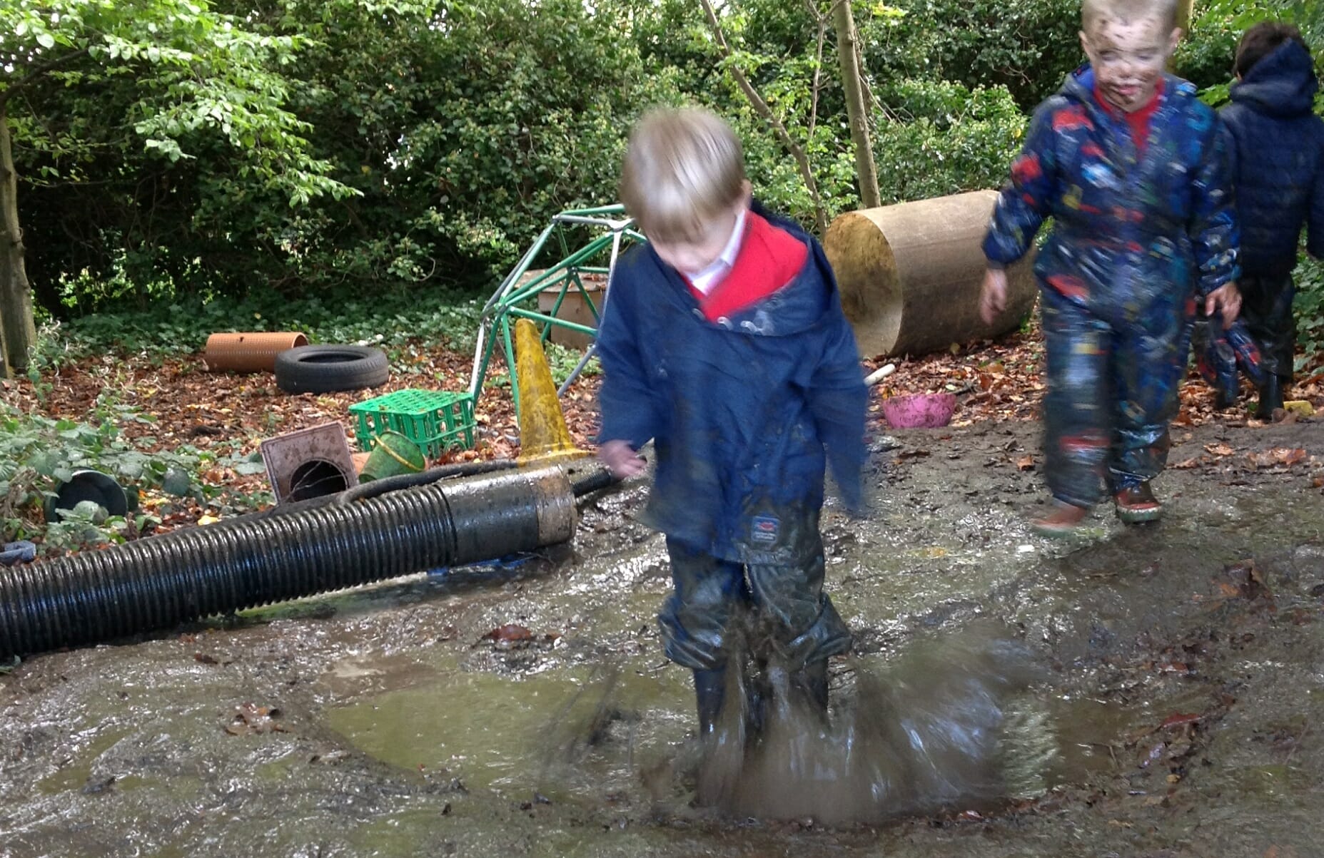 Forest School – Its importance in the curriculum